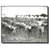 Campamento en North Stoneham. Niños haciendo gimnasia, Gran Bretaña, 1937. CEGES-SOMA, Bruselas.